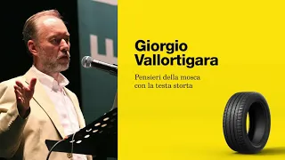 VALLORTIGARA - Pensieri della mosca con la testa storta