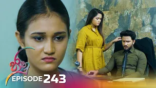 Jaanu | Episode 243 - (2024-01-30) | ITN