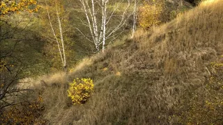 Октябрь уж наступил..Муз. Э. Артемьева из к/ф "Раба любви."