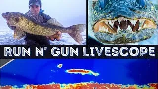 Run N' Gun Tips & Tricks | Garmin Livescope (ft. GNARLY Walleye Teeth)