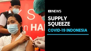Global vaccine supply squeeze sees Indonesia fall behind its immunisation target | ABC News
