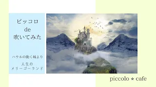 【ピッコロ】ハウルの動く城〜人生のメリーゴーランド〜【演奏してみた】３重奏