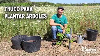 TRUCO PARA PLANTAR ÁRBOLES