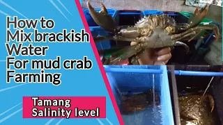 HOW TO MIX BRACKISH WATER FOR MUD CRAB FARMING