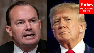 Mike Lee Blasts ‘Political Weaponization Of Our Judicial System’ After Trump’s Guilty Verdict