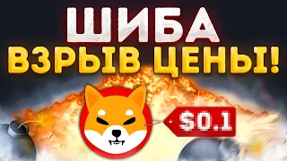 САМСУНГ ЗАКЛЮЧИЛИ ПАРТНЁРСТВО С ШИБА! СМОТРИТЕ ПОКА ЦЕНА НЕ ВЗОРВАЛАСЬ!