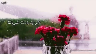 معين شريف - شو بيشبهك تشرين .. مع الكلمات