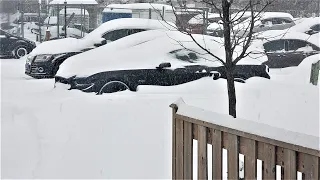 Amazing Bridgestone Blizzak WS80's Tested in Canadian Winters on 2016 Ford Mustang GT RWD.