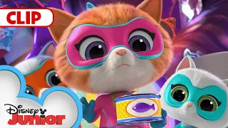 Zsa-Zsa Steals all the Oranges 🍊| SuperKitties | @disneyjunior​