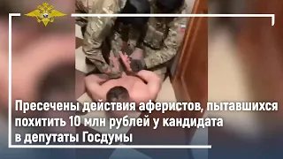 Ирина Волк: Задержаны аферисты, пытавшиеся похитить крупную сумму у кандидата в депутаты Госдумы