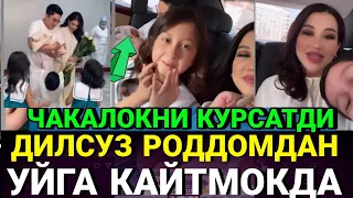 МУХАММАД УСМОН ХУШ КЕЛИПСИЗ..ДИЛСУЗ ЧАКАЛОК УГЛИНИ КУРСАТДИ ИЛК БОР