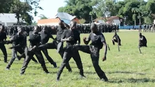 RDC: DÉMONSTRATION DES JEUNES COMMANDOS FORMES PAR LES BELGES