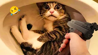 Funniest Animals 2024 🤣 - New Funniest Cats and Dogs 😹🐶 Part 20 #animals #funny #viral #trending