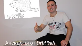 Анекдот про Бобра и Чебурашку от EnDi Yak