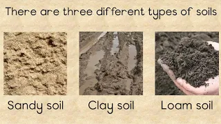 SOIL - Different types and the importance of Soil