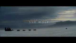 1 Hour Loop David Guetta - She Wolf (Falling To Pieces) ft. Sia