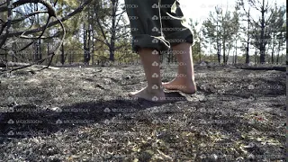 Man feet walking barefoot by burned grass after big forest wildfire, ecological disaster, nature