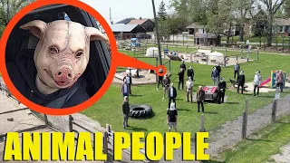 if you ever see the Animal People at this farm, Don't stop!! Keep driving away as fast as you can!!