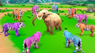 5 Elephants vs 3 Tigers Turn into Zombie Tigers attack African Elephant Save Baby Elephant Mammoth