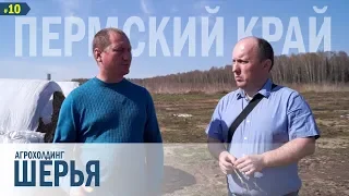 20 000 тонн «Пермский» сенаж в упаковке!!!