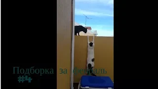 Приколы за февраль 2018 #4 Топовая подборка