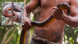 Primitive Technology, Making traditional trap skills for catching eels in the river for food