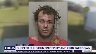 Sheriff: Fugitive pulls gun on deputy, chokes and bites K-9