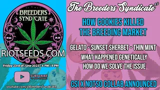 How Cookies Gelato Sherb Runtz and Zkittlez Killed Modern Cannabis Breeding & Solutions S08E08