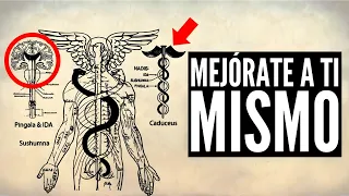 Cómo MEJORARTE a Ti Mismo - Carl Jung