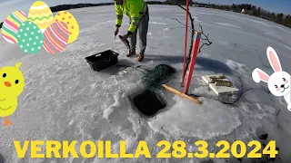 Talviverkoilla 28.3.2024