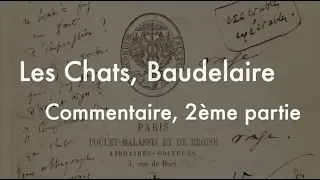 Les Chats, de Baudelaire (dans Les Fleurs du Mal), deuxième partie de l'analyse.