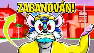 ZA TOHLE určitě *DOSTANU BAN* v Roblox Brookhavenu rp!! 🫡🤔