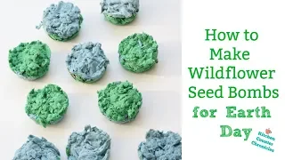 How to Make Wildflower Seed Bombs