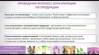 Велнес консультация