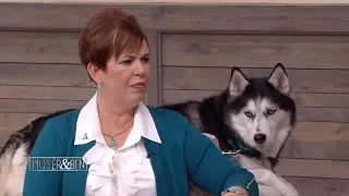 This Amazing Dog Saved Her Owner's Life Three Times! - Pickler & Ben