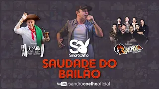 Sandro Coelho - Saudade do Bailão feat. João Luiz Corrêa e Rainha Musical