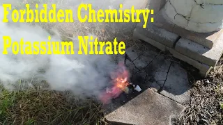 Making Potassium Nitrate: Forbidden Chemistry part 1 #chemistry #chemical