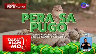 Pugo farm, bonggang kitang hatid! | Dapat Alam Mo!