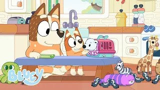 Moments d'animaux avec Bluey | Bluey Français Chaîne Officielle