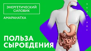 Важно! Правда о паразитах и гниение в кишечнике, польза сыроедения и вегетарианства