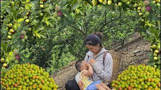 Life in the forest of a 17-year-old single mother:How to Pound Corn-Harvesting Plums