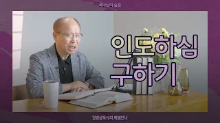 [5월 24일] 인도하심 구하기 | 마태복음 6:13, 히브리서 12:1-2 | 하나님의 숨결