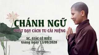 Chánh ngữ - Phật dạy cách tu cái miệng - SC. Giác Lệ Hiếu