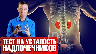 Усталость надпочечников. ✅ Тест. Как бороться со стрессом и восстановить надпочечники