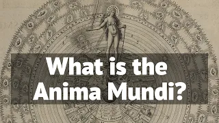 What is the Anima Mundi? - The Soul of the World.