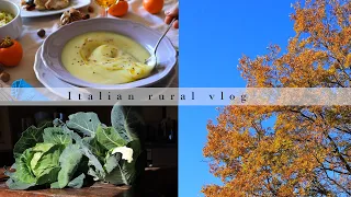 Ending November with cabbages from our garden | Italian rural vlog | Silent vlog | Slow living