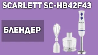 Блендер Scarlett SC-HB42F43