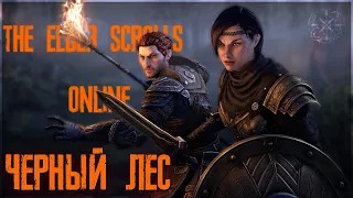 СТРИМ: The Elder Scrolls Online (TESO) ➤ НОВАЯ ГЛАВА ЧЕРНЫЙ ЛЕС (blackwood) ➤ СПУТНИКИ МИФИКИ ТРИАЛ