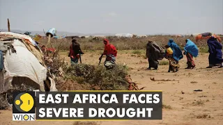 East Africa faces severe drought, delayed rains further cause of worry | World English News | WION