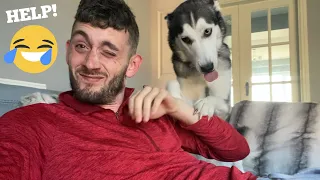 Completely Ignoring My Husky As Long As Possible! [FUNNIEST REACTION EVER!]